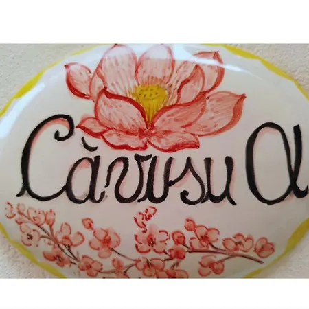 Apartment U Cavusu